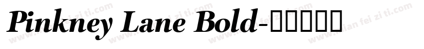 Pinkney Lane Bold字体转换